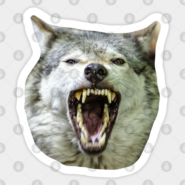Snarling Grey Wolf Sticker by dalyndigaital2@gmail.com